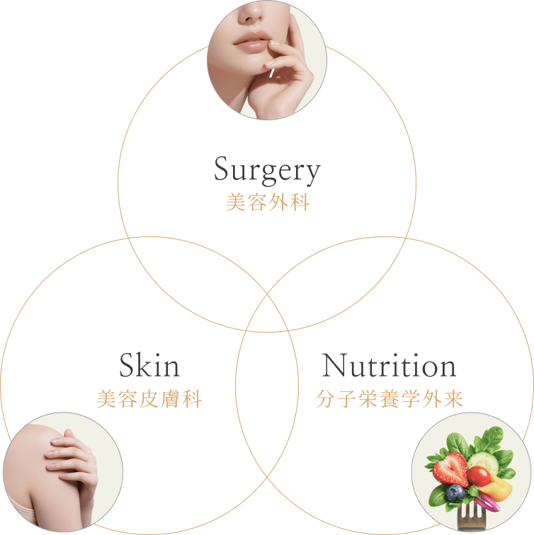 美容外科・美容皮膚科・分子栄養学外来の3方向からエイジングケアを表す図